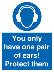 Mandatory: You only have one pair of ears! Protect them